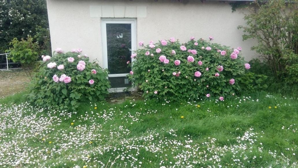 Chambre D'Hote Monthodon Dış mekan fotoğraf